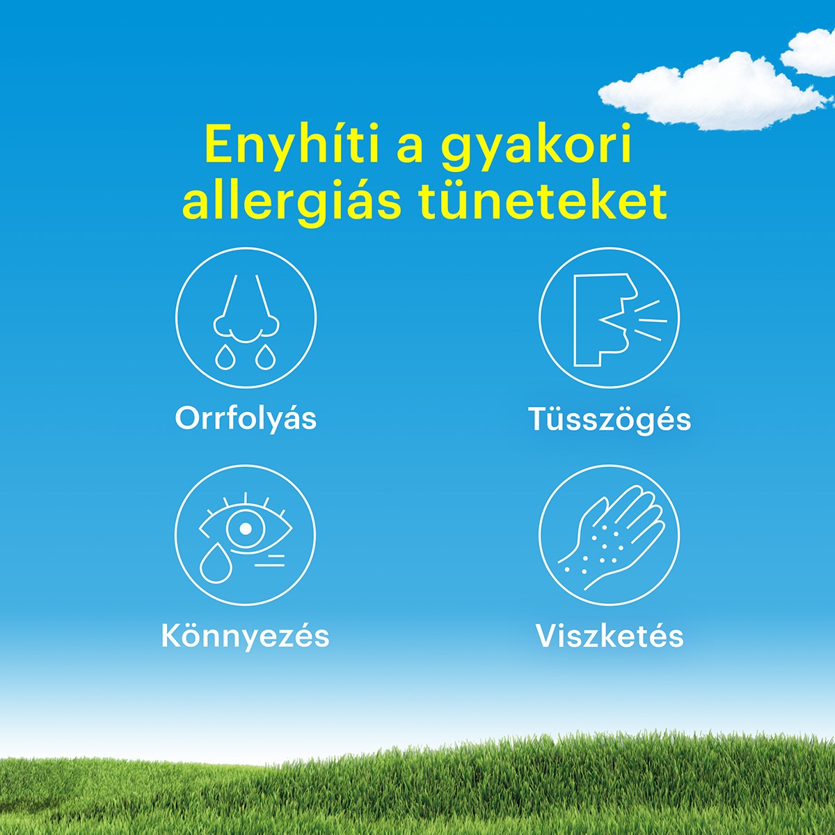 Enyhíti az allergiás tüneteket