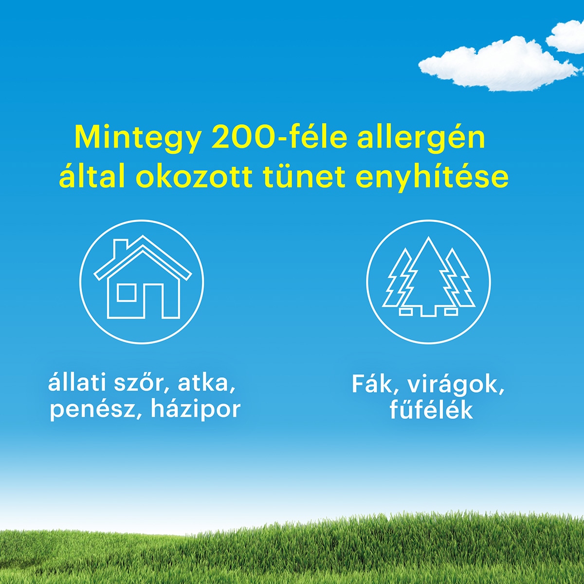 Enyhíti az allergiás tüneteket